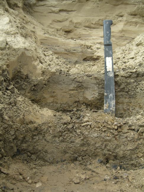  2006:09:10 00:34:47   Fine sand overlying silty clay.jpg